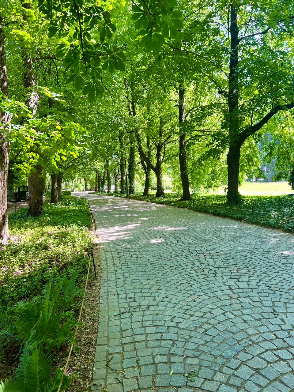 Caminos de Esperanza