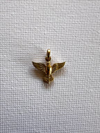 Dije Espíritu Santo