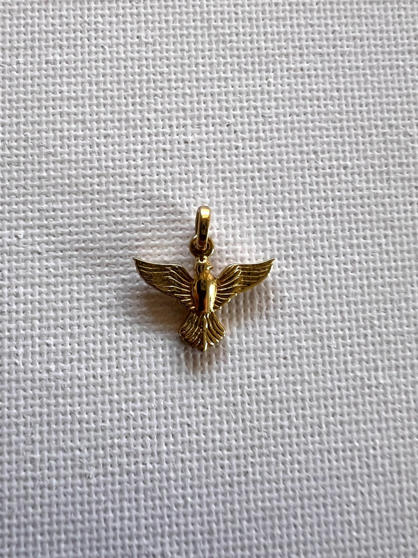 Dije Espíritu Santo